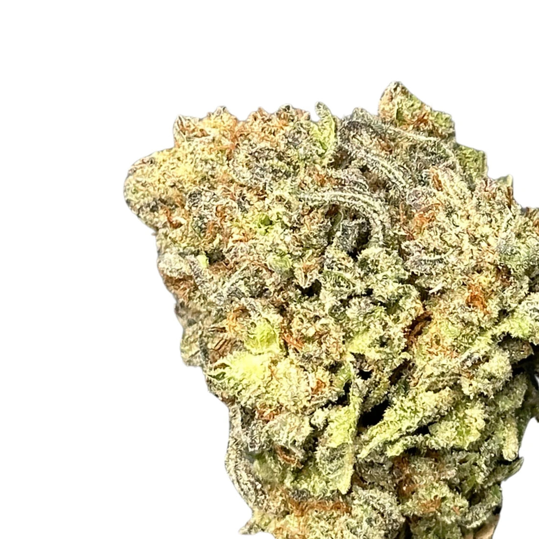 Crunch Berriez(hybrid)