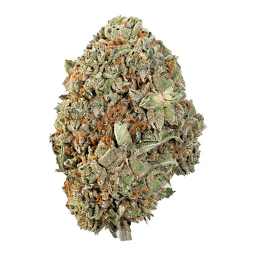 Forbidden Flower(hybrid)
