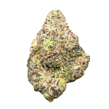 Rainbow Gush Pop(hybrid)