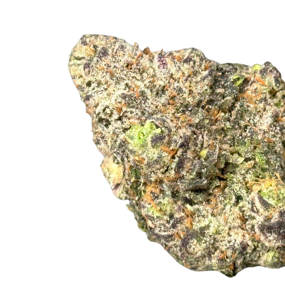 Rainbow Gush Pop(hybrid)