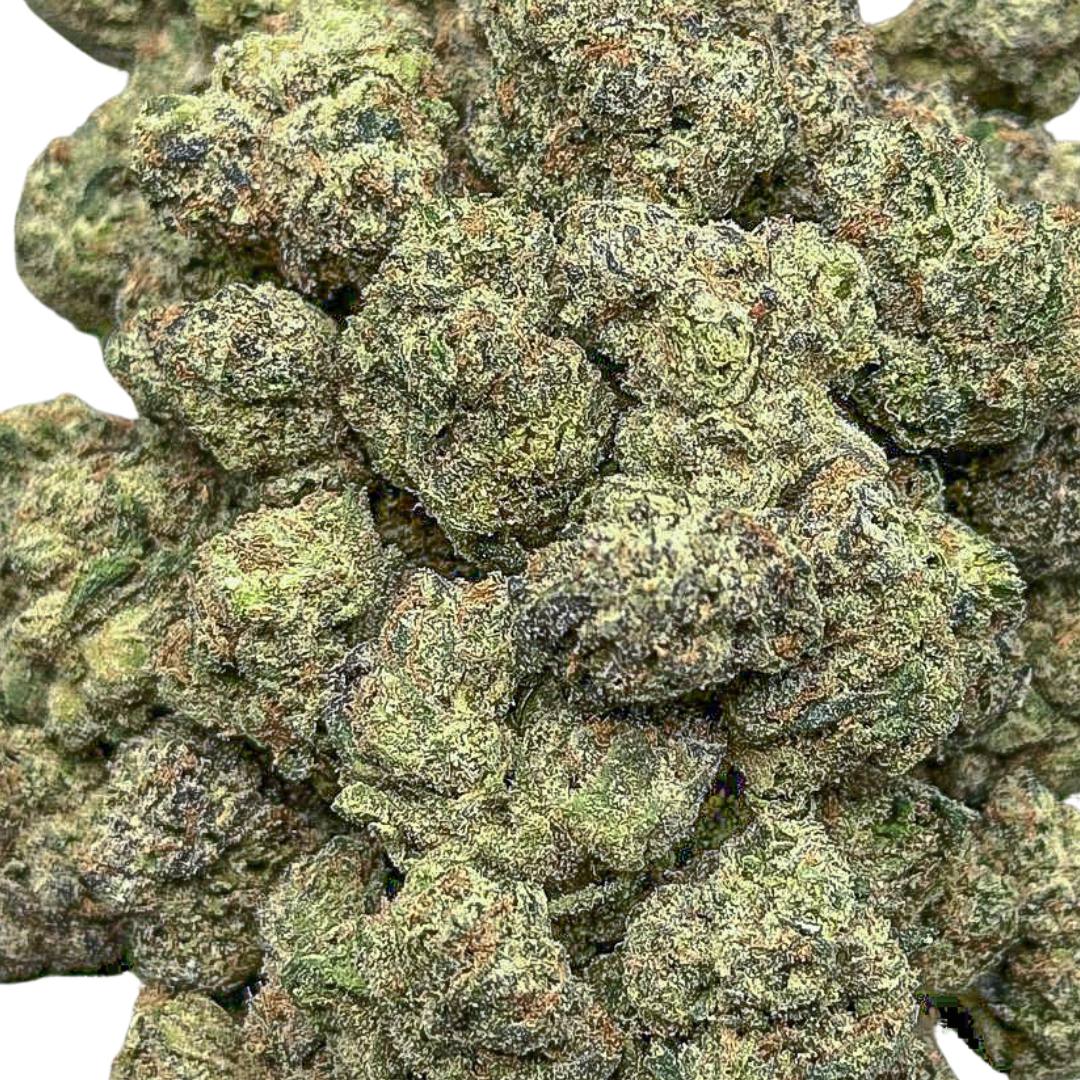 Cherry Eclipse-Small(hybrid)