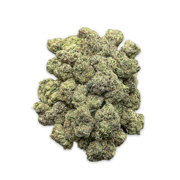 Cherry Eclipse-Small(hybrid)