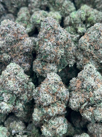 PURPLE MOCHI – (Hybrid)
