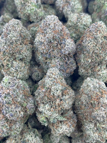 FROZEN RUNTZ – (Hybrid)