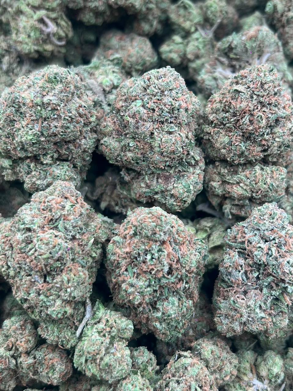 CHEERY Z– (Hybrid)