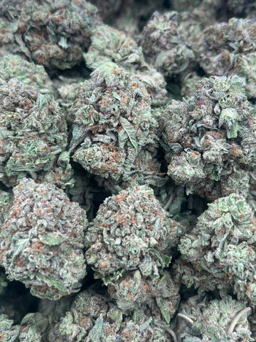 KING GELATO