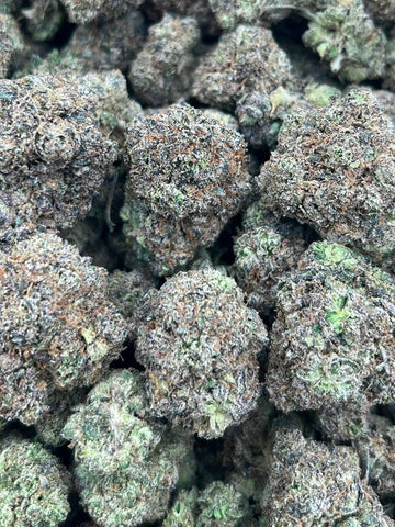 GHOST BISCOTTI- (Hybrid)