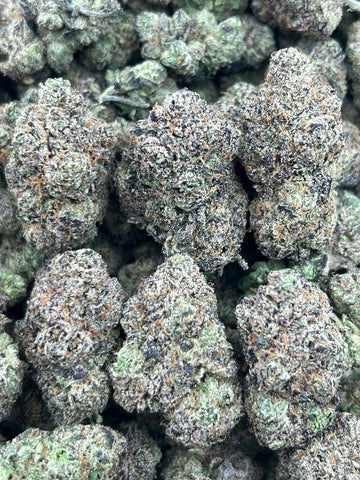 GRAND RUNTZ- (Hybrid)