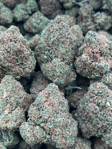 LEMON CHERRY DRIP- (Hybrid)