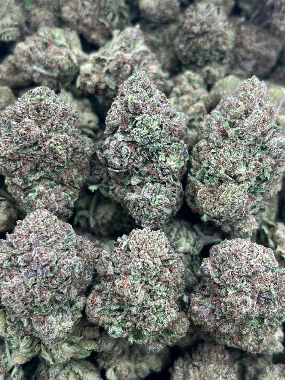 CANDY DRIP- (Hybrid)
