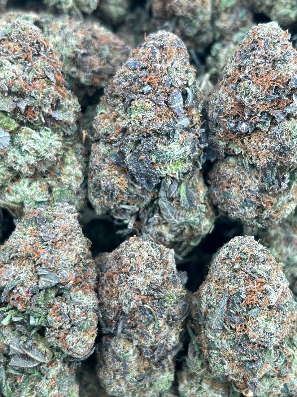 MOCHI PUFF- (Hybrid)
