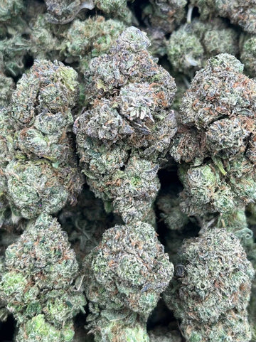 CANDY GAS- (Hybrid)