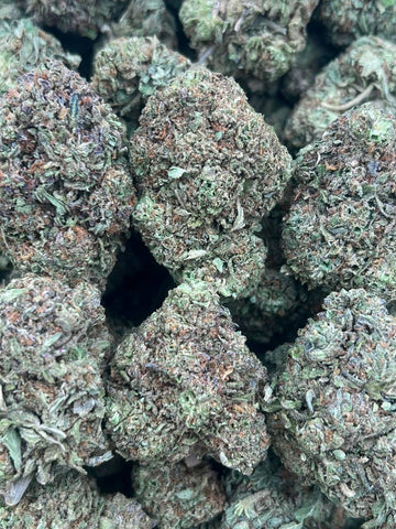 VANILLA ICE-(HYBRID)