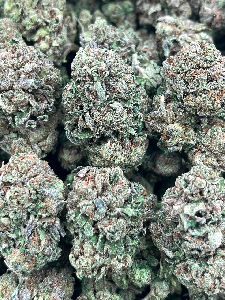 CHERRY SLAP-(HYBRID)