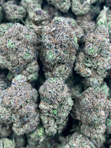 BG-(HYBRID)