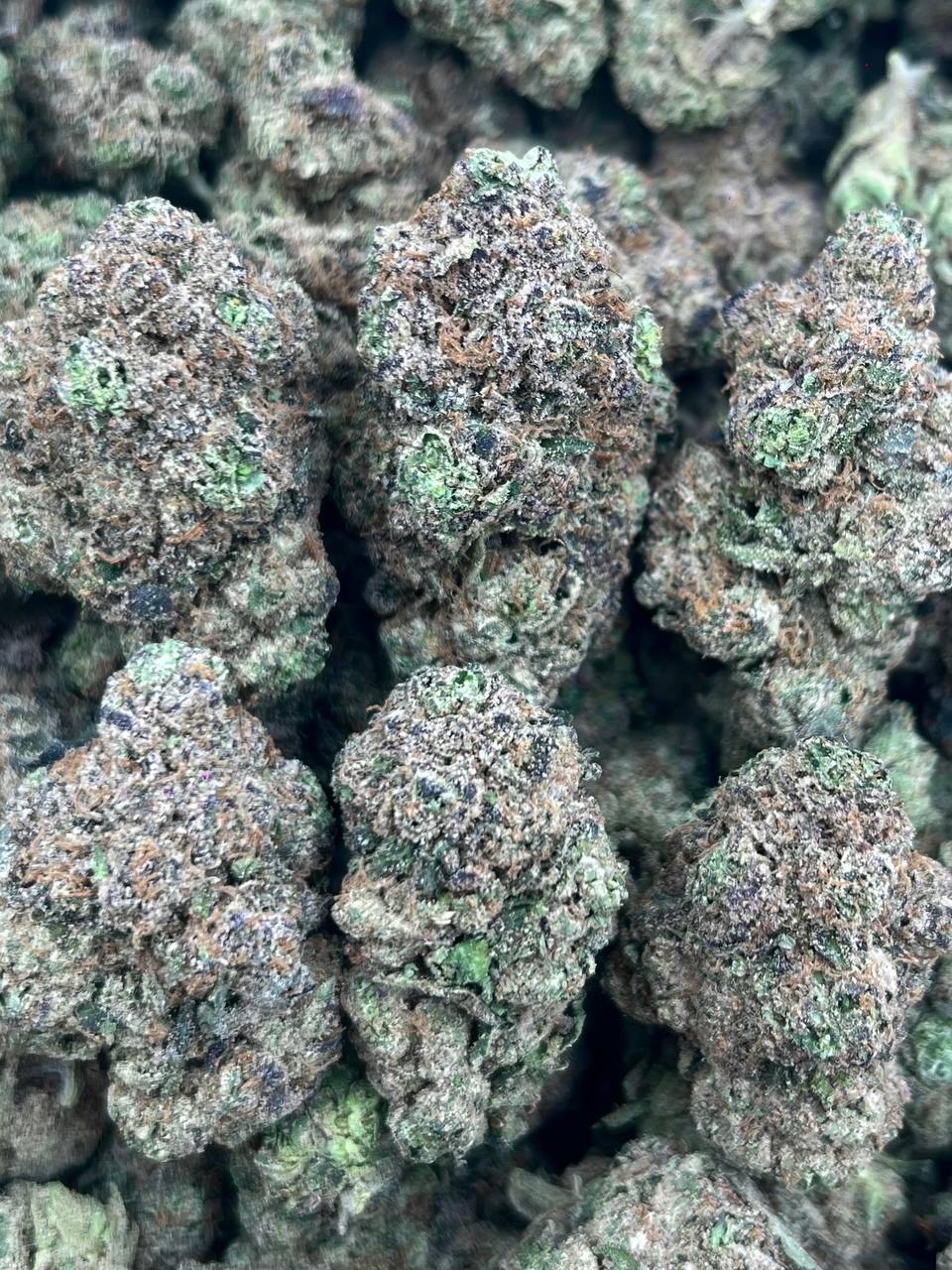 BG-(HYBRID)