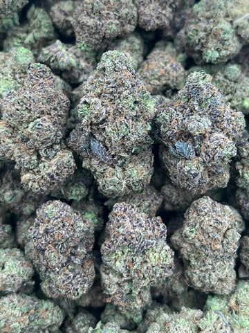 GR-(HYBRID)