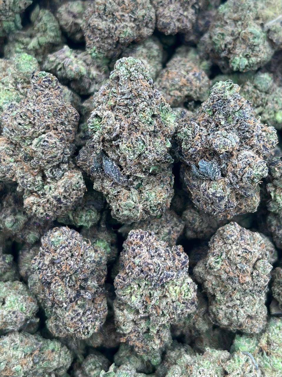 GR-(HYBRID)