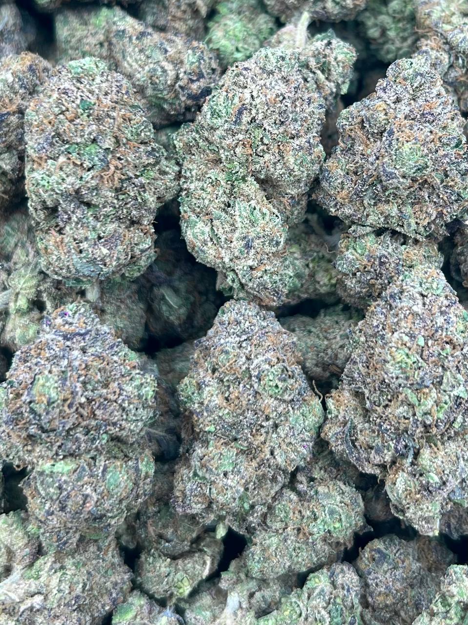 LCS-(HYBRID)